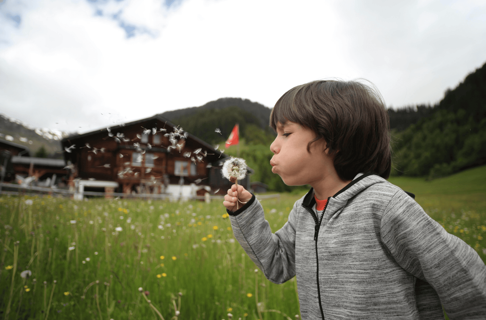Hopping into Spring with East Asian Medicine