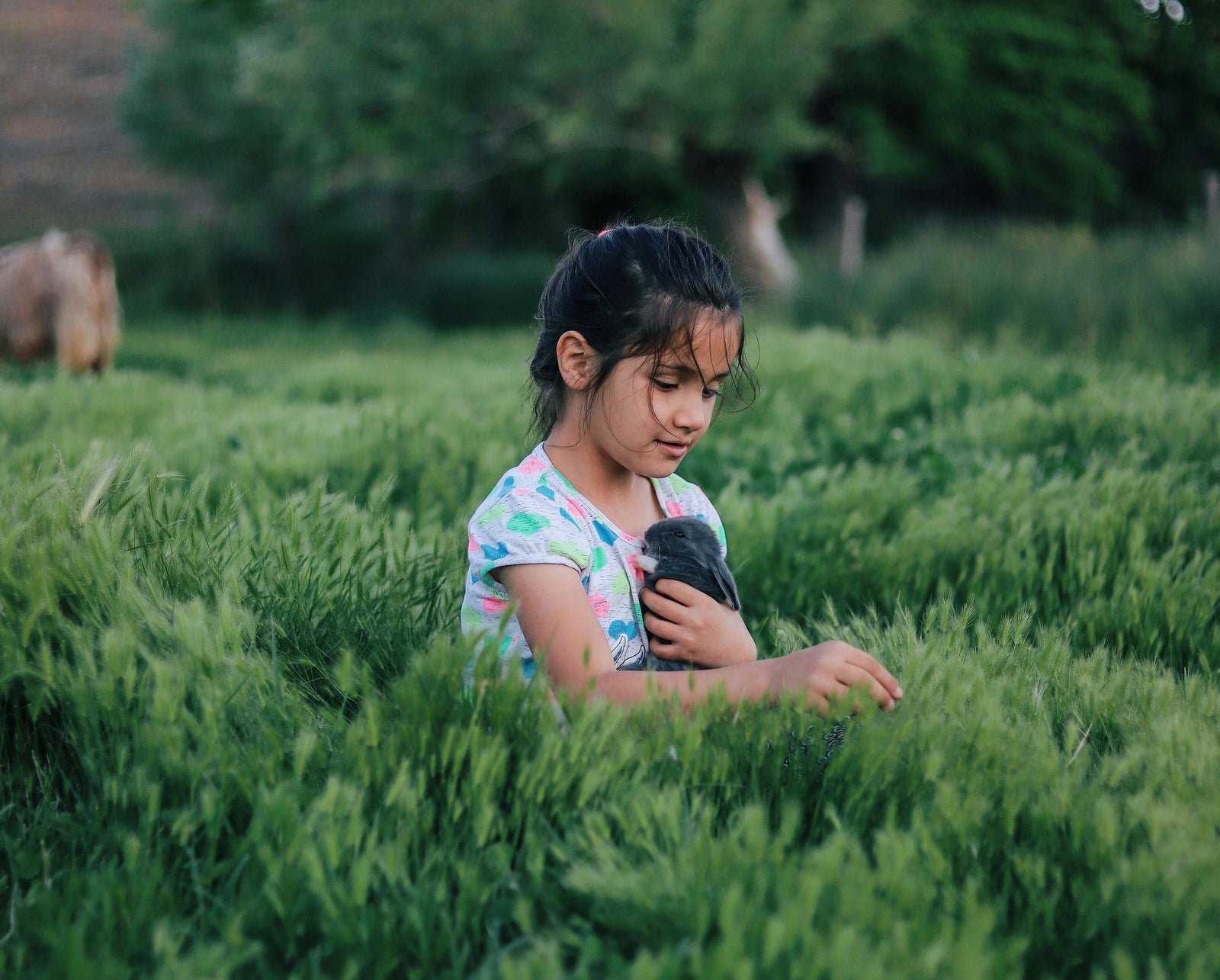 The Mental Benefits of Fractal Patterning for Children by Know Yourself Co-Founder Nancy Howes