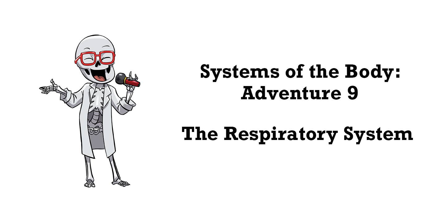 Ask Dr. B - Respiratory System