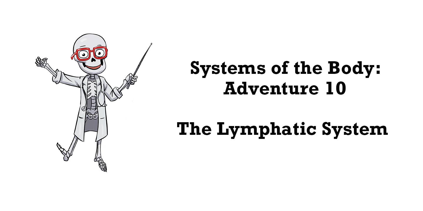 Scientific Spotlight: The Lymphatic System and Disease