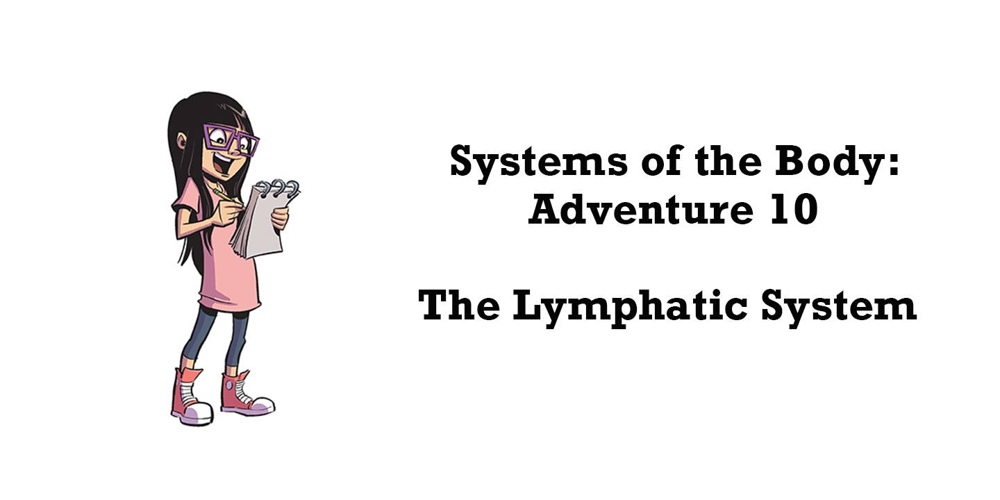 Graphic of Lymphatic System Activities. | Know Yourself