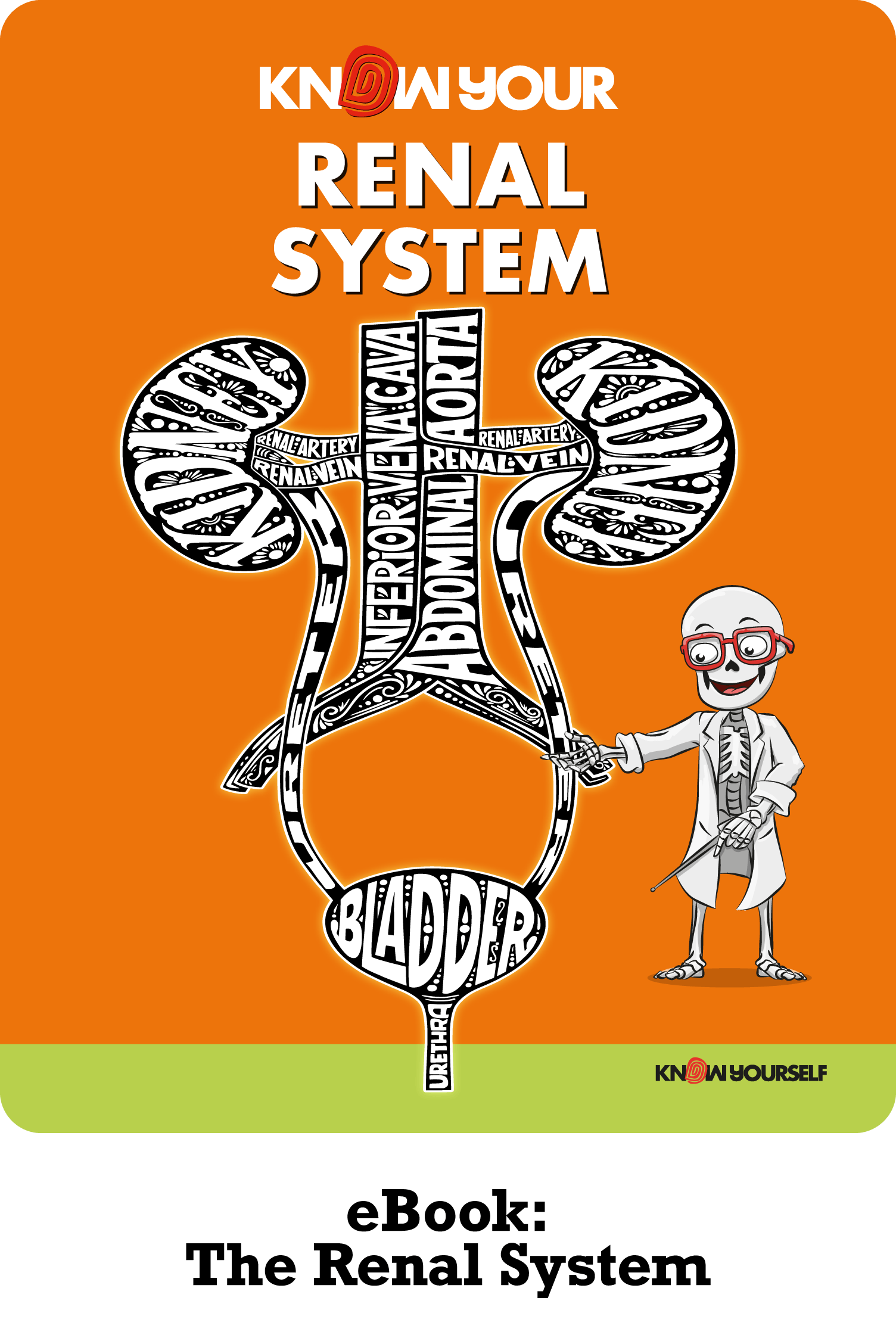 Renal System