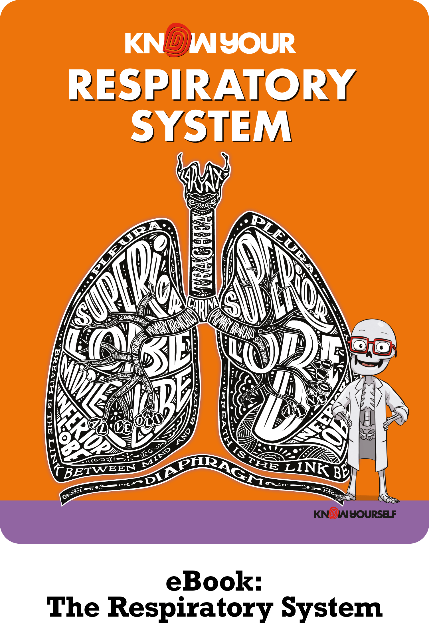 Human Anatomy for Kids Learning Respiratory System