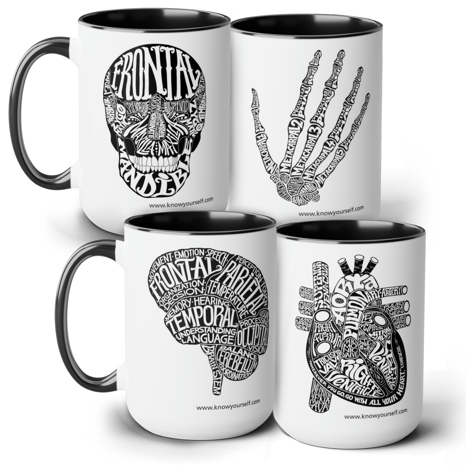 Anatomy Mug Set - Skull, Hand, Brain, Heart - Black