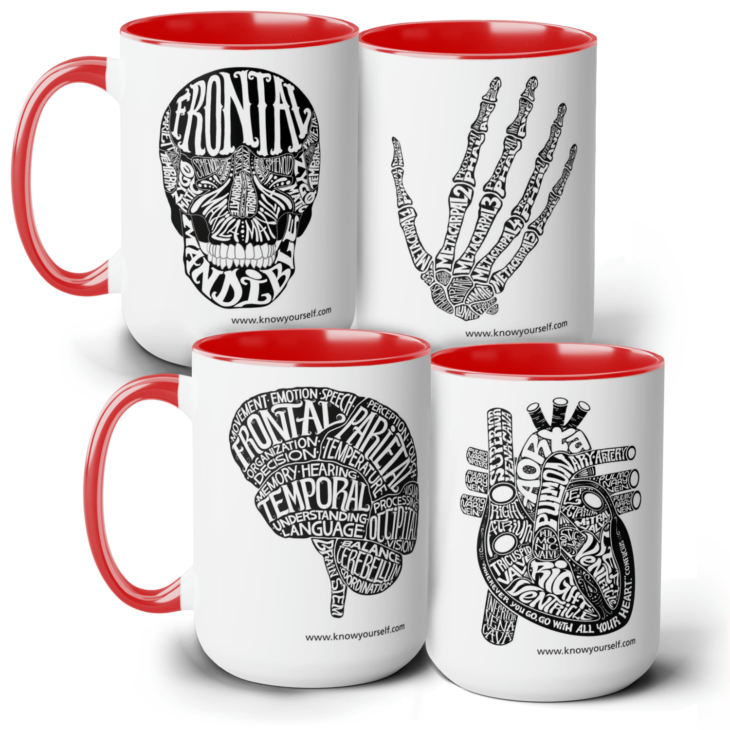 Anatomy Mug Set - Skull, Hand, Brain, and Heart - Red