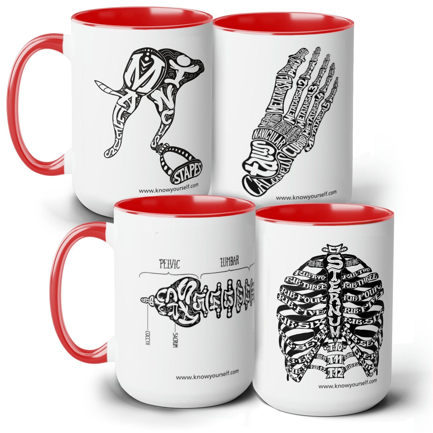 Anatomy Mug Set - Bones of the Ear, Foot, Spine, and Ribs Red