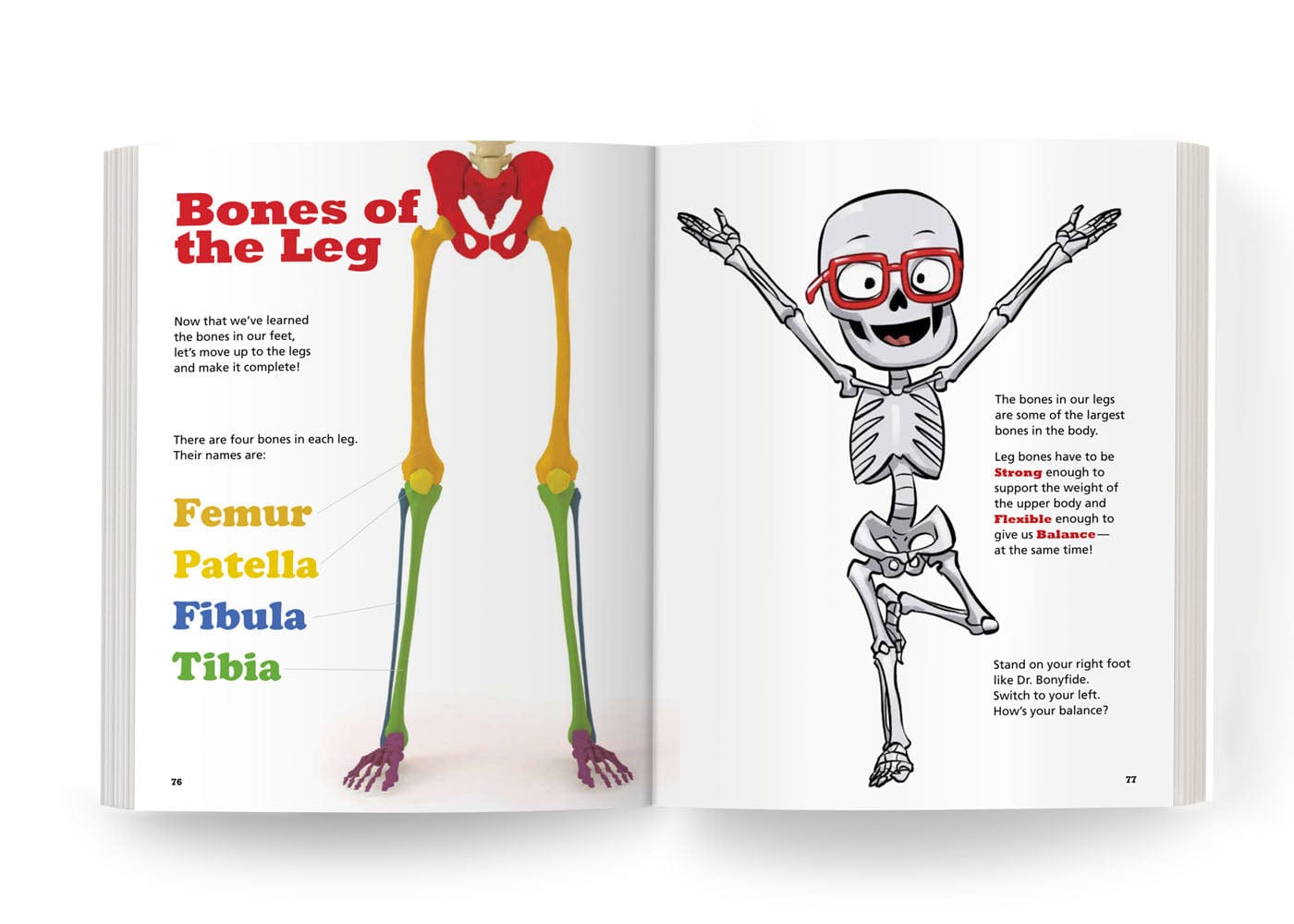 Bones of the Foot, Leg, and Pelvis: Book 2 Health Education for Children