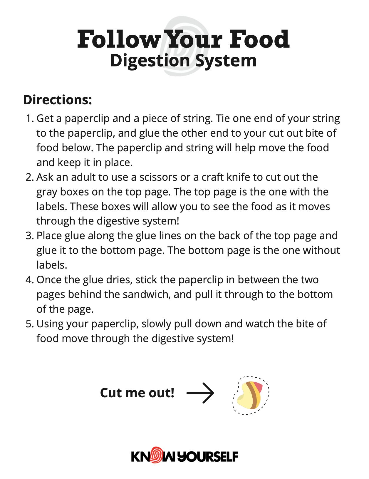 Digestive System Follow Your Food Activity Health Education for Children