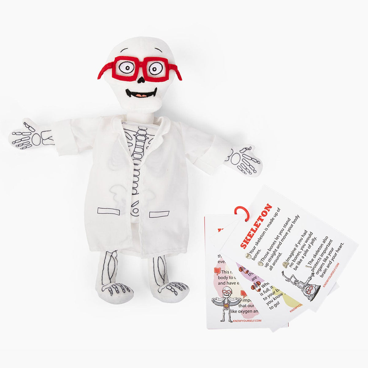 Dr. Bonyfide Anatomy Plushy Kit Health Education for Children