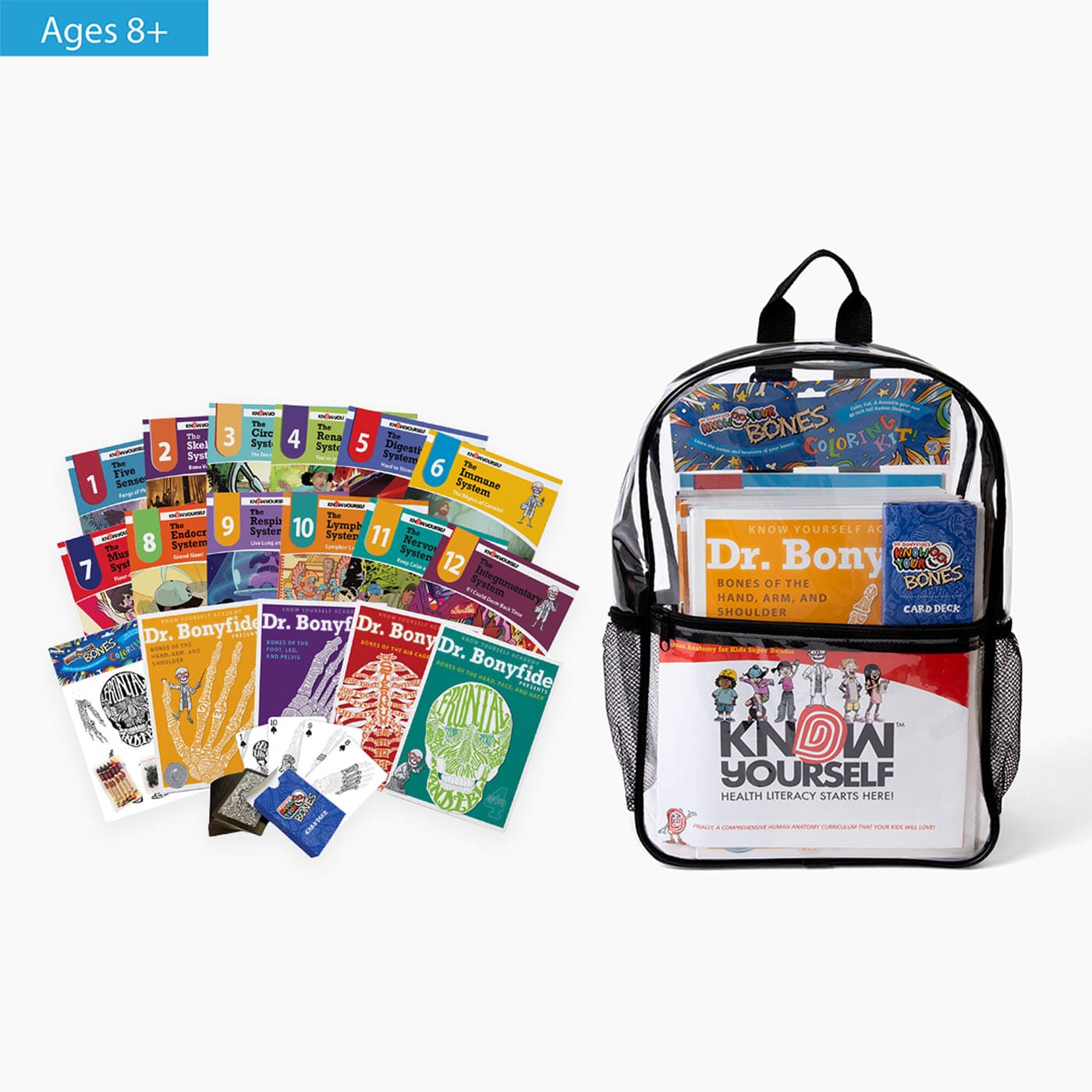 Human Anatomy for Kids Super Bundle Health Education for Children