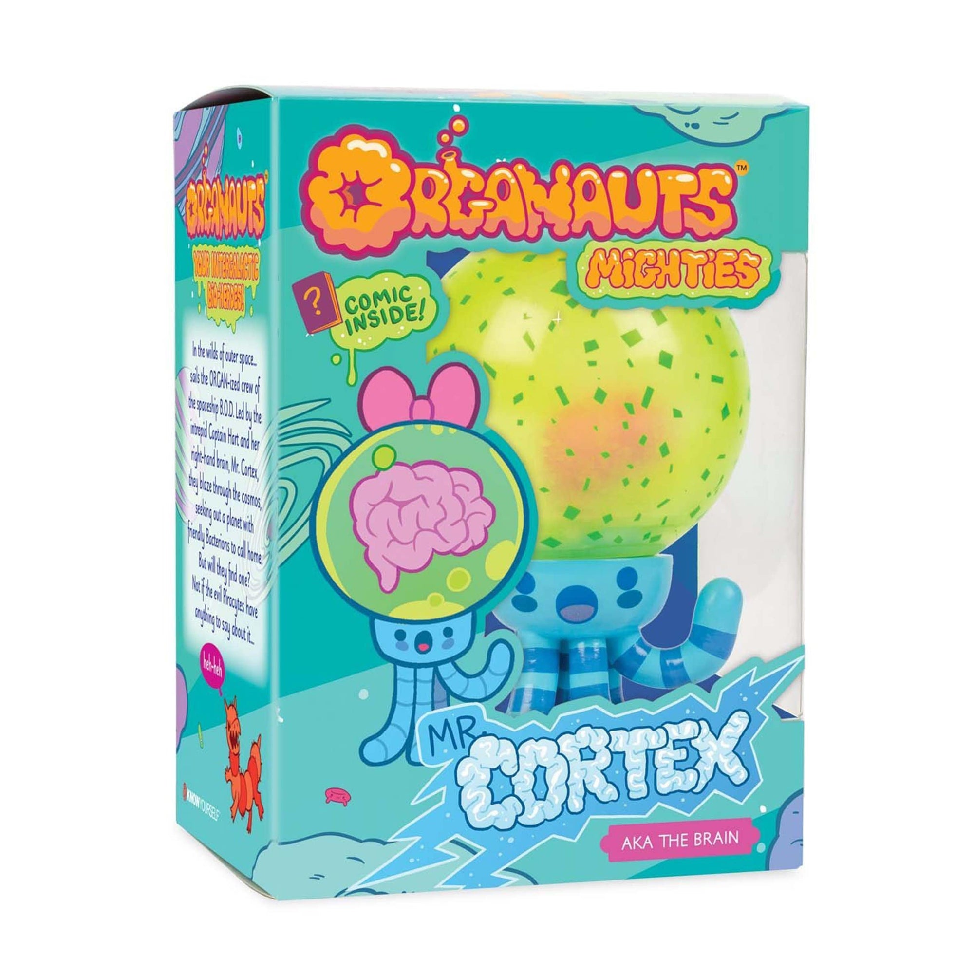 Mr. Cortex - The Brain - Organ Learning Toy Health Education for Children