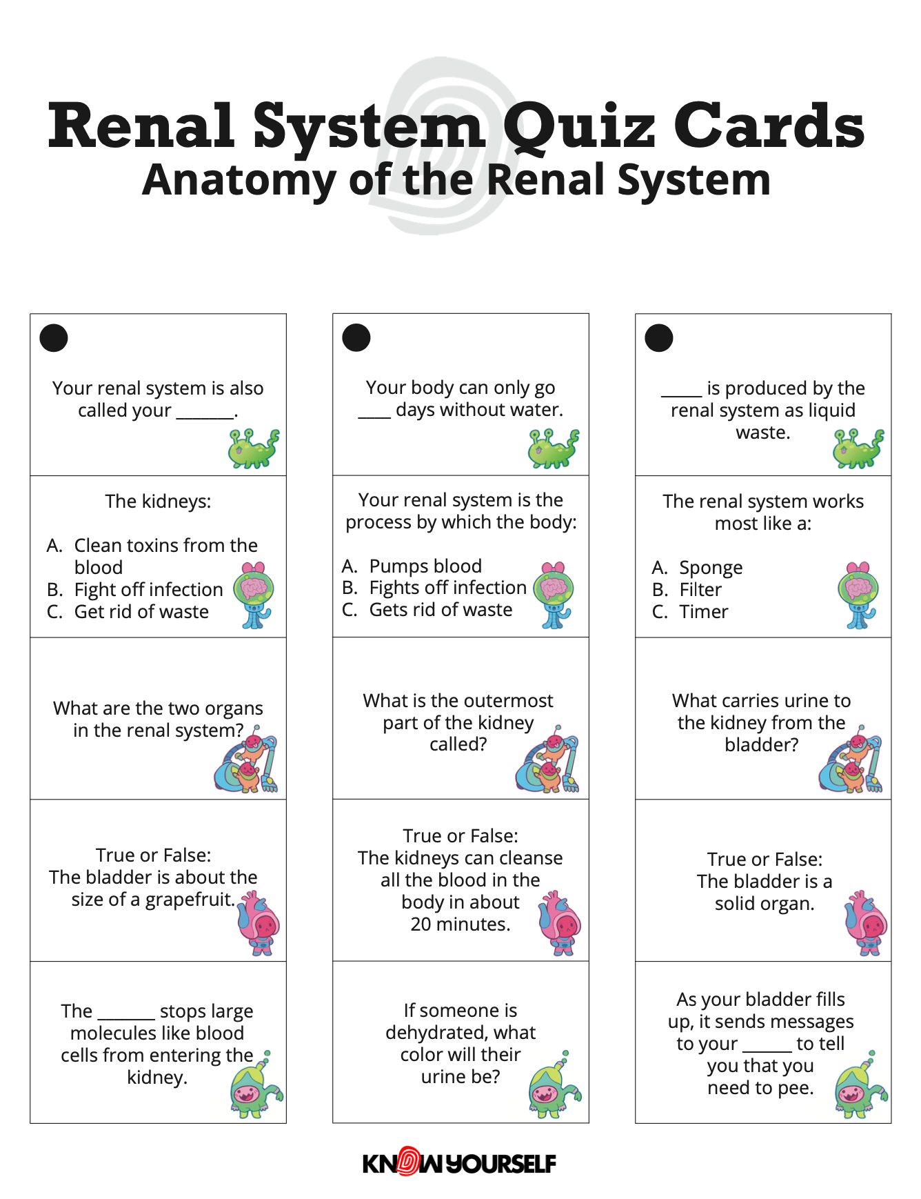 Renal System Quiz Cards Health Education for Children