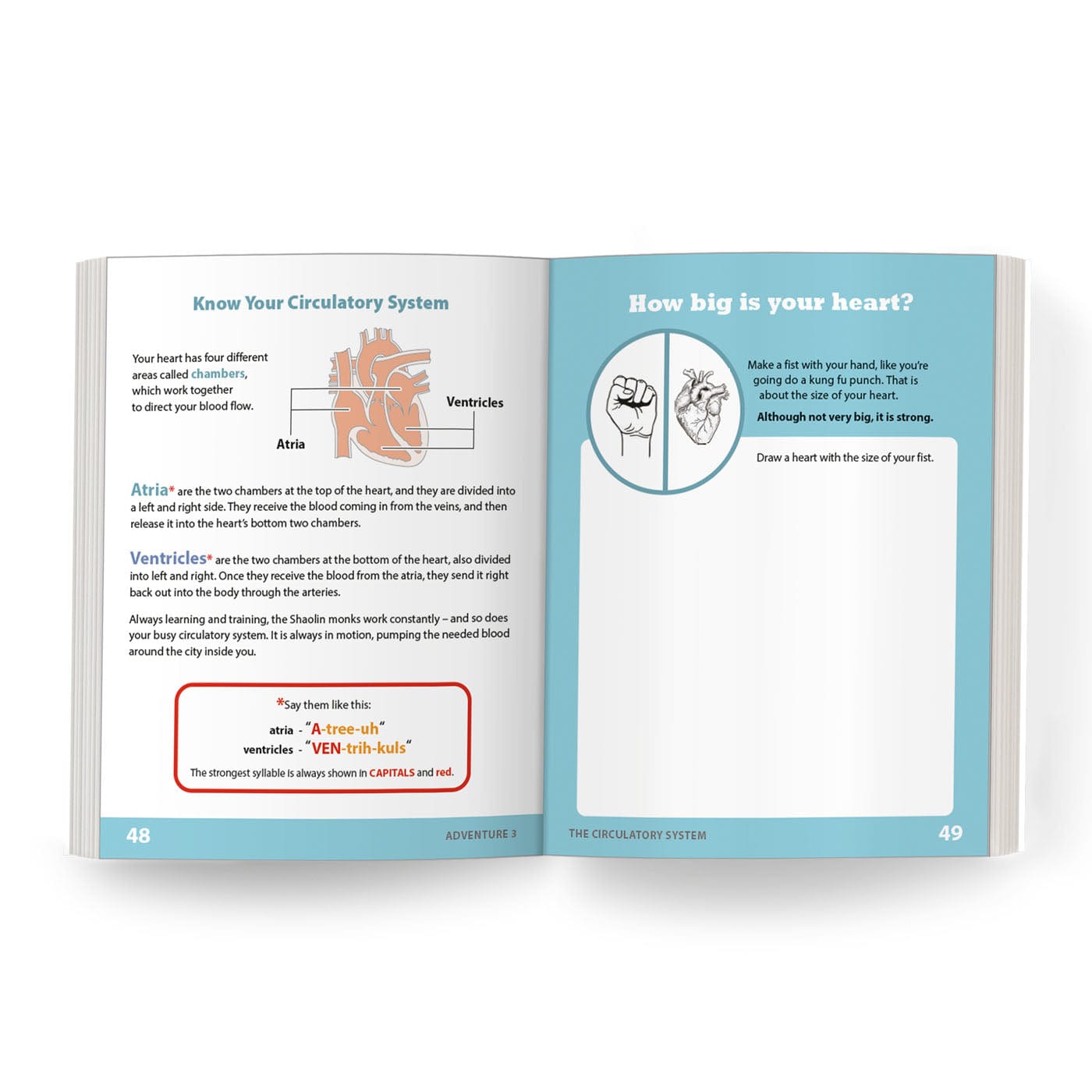 The Circulatory System: Adventure 3 Health Education for Children