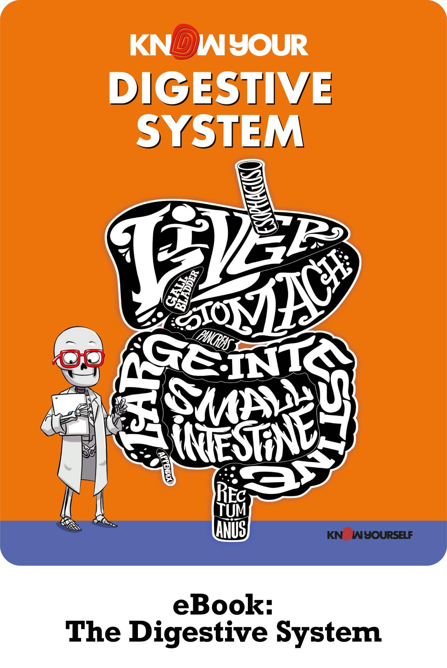 The Digestive System