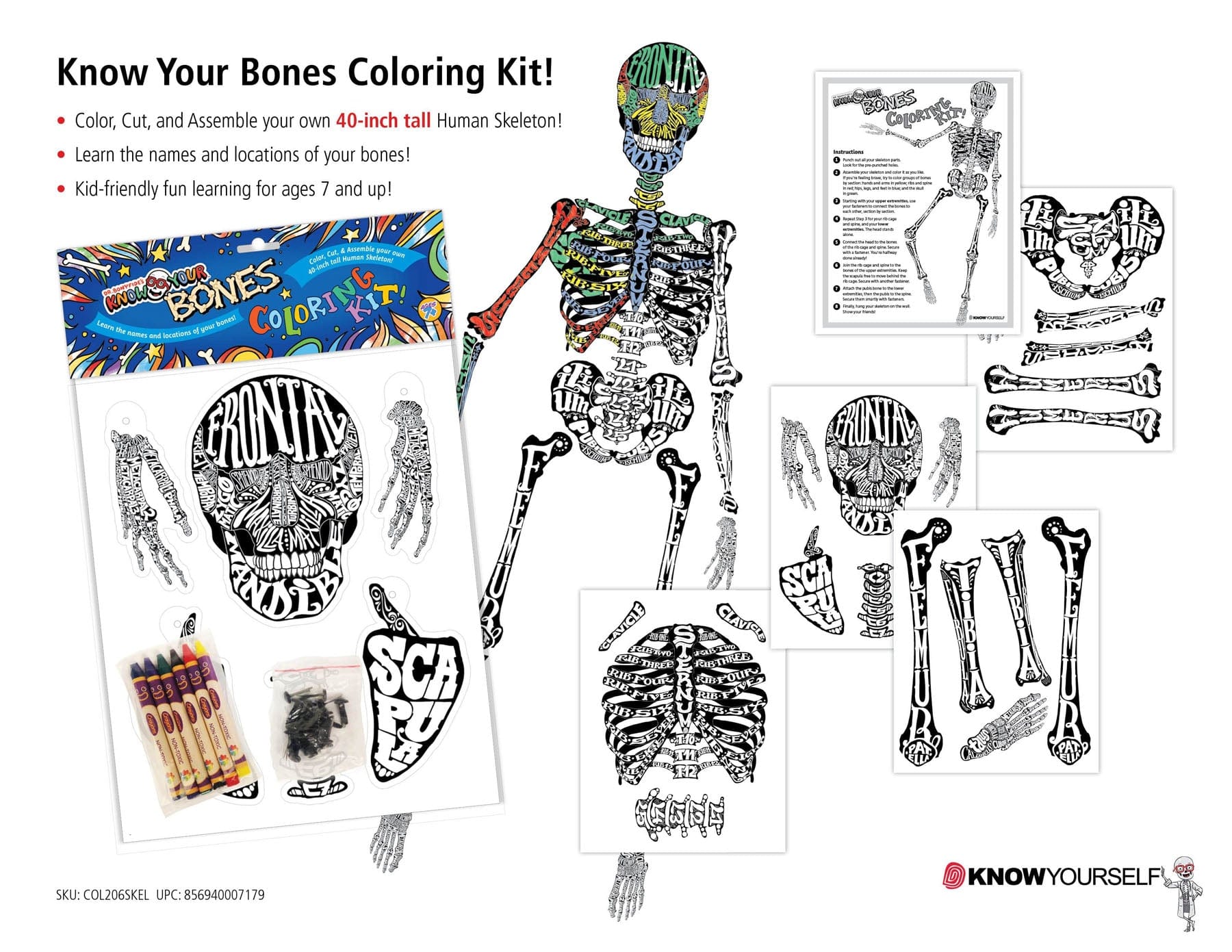 Dr. Bonyfide's Know Your Bones: Coloring Kit Health Education for Children