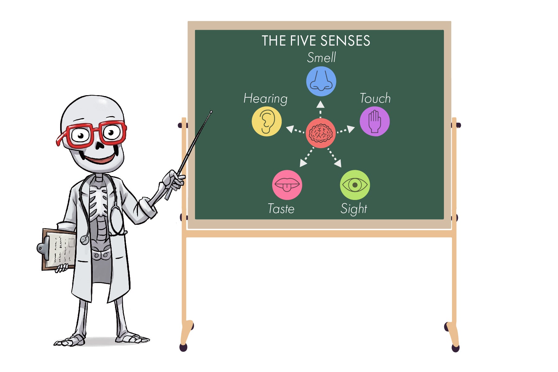 Graphic of Teaching The 5 Senses To Children Using 5 Cool Learning Activities. | Know Yourself