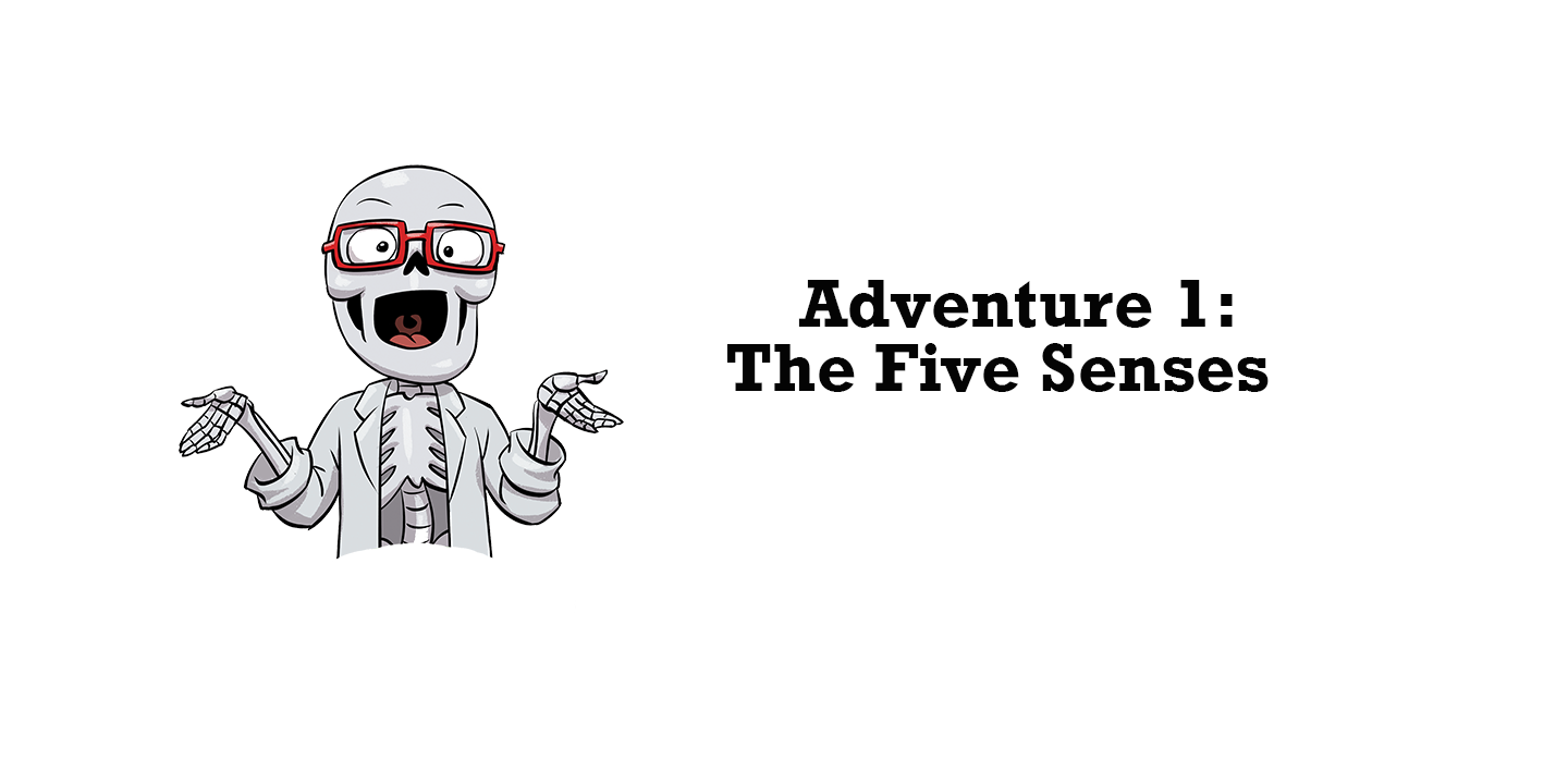 Dr. Bonyfide Answers Your Questions About The Five Senses!