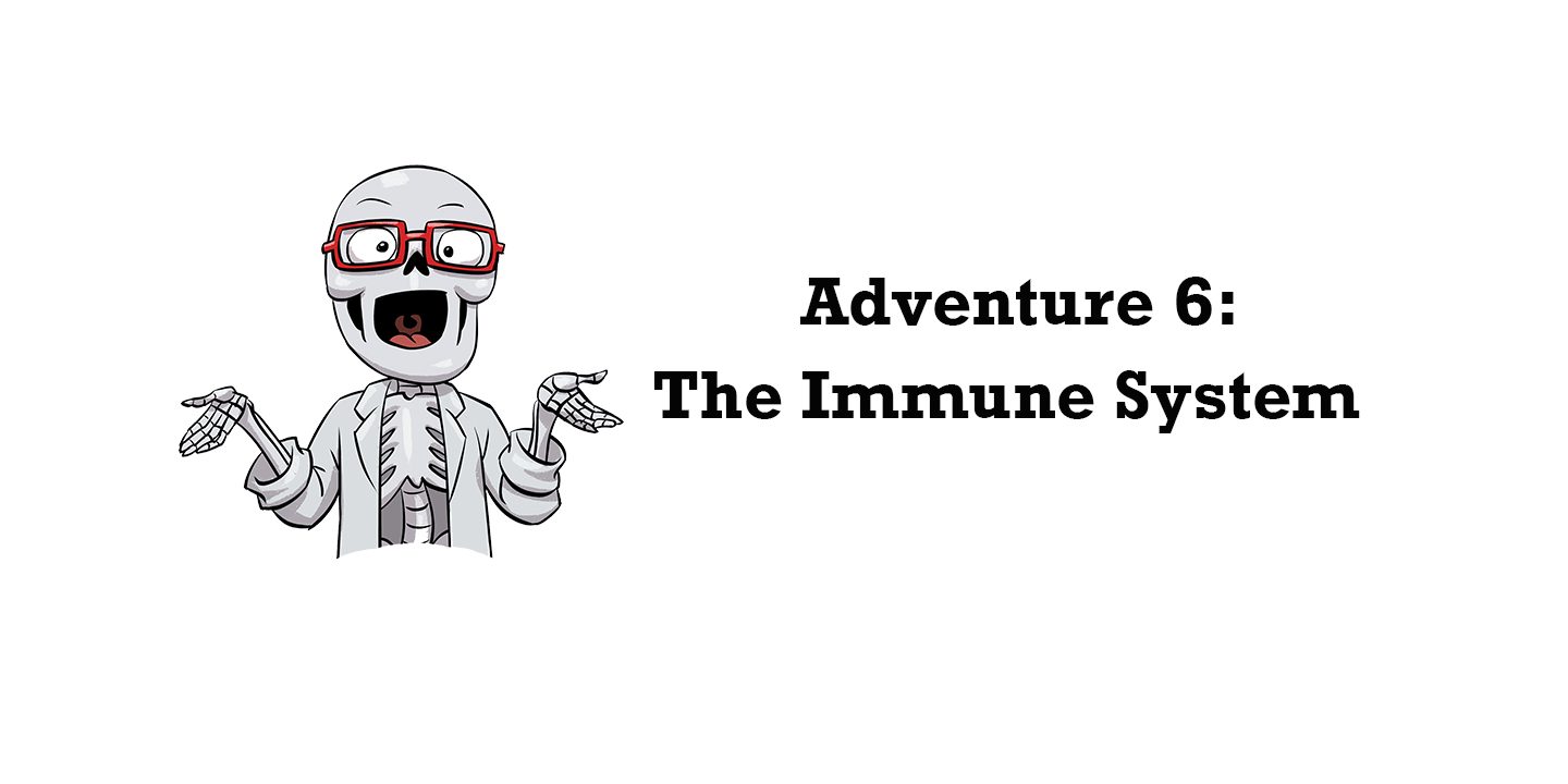 Dr. Bonyfide Answers your Questions on the Immune System