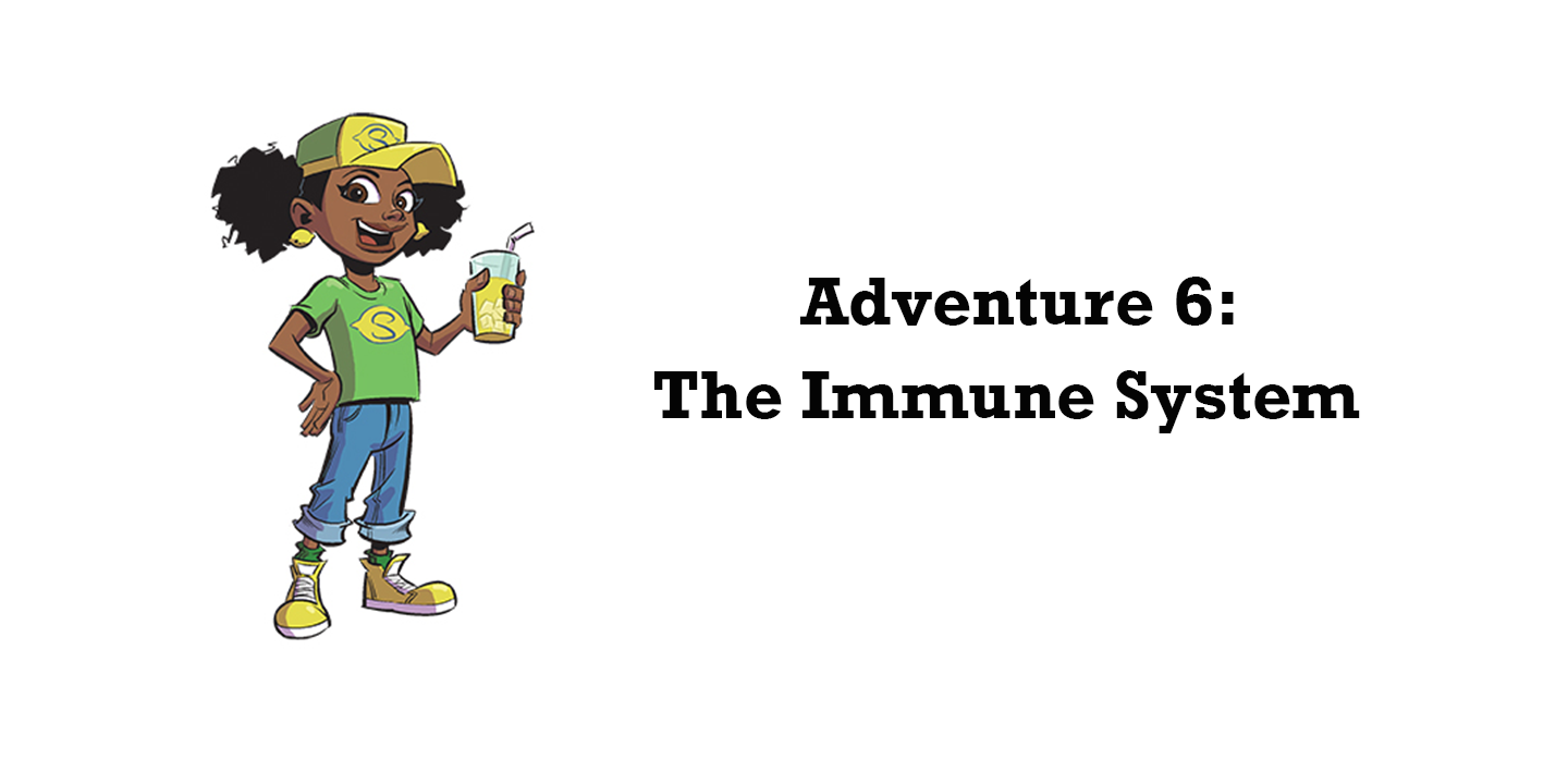 Immune System Activities