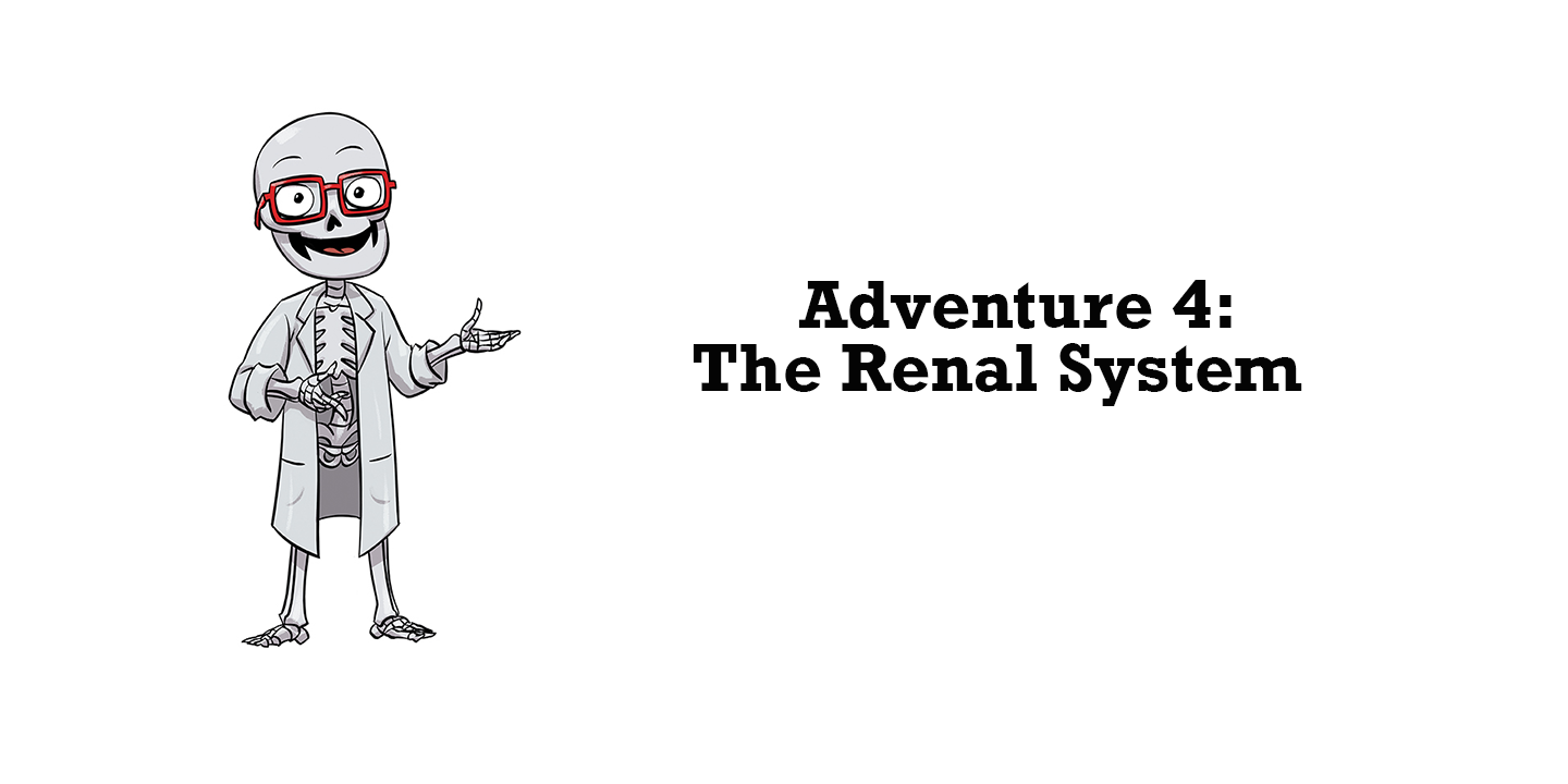 Dr. Bonyfide Answers Your Questions About The Renal System