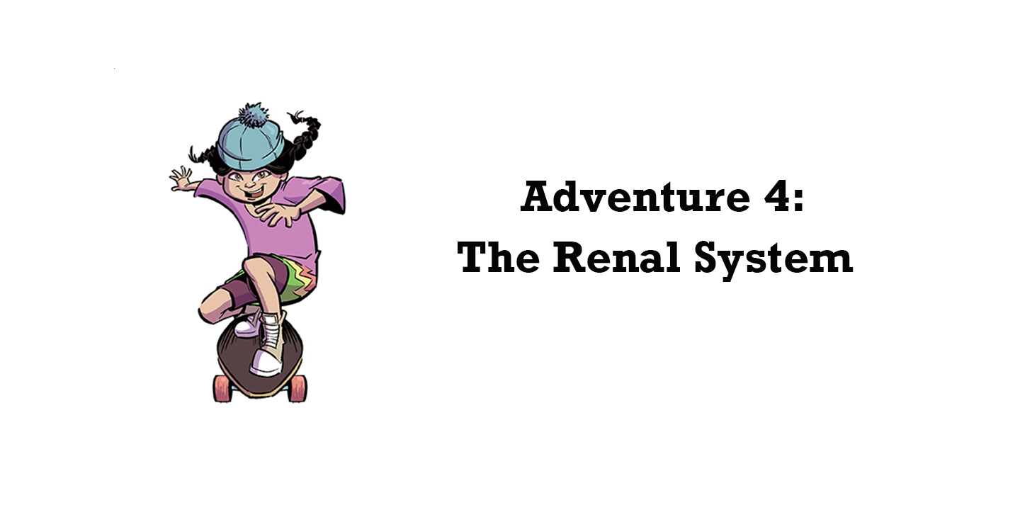 The Renal System: Learning About Kidneys for Kids