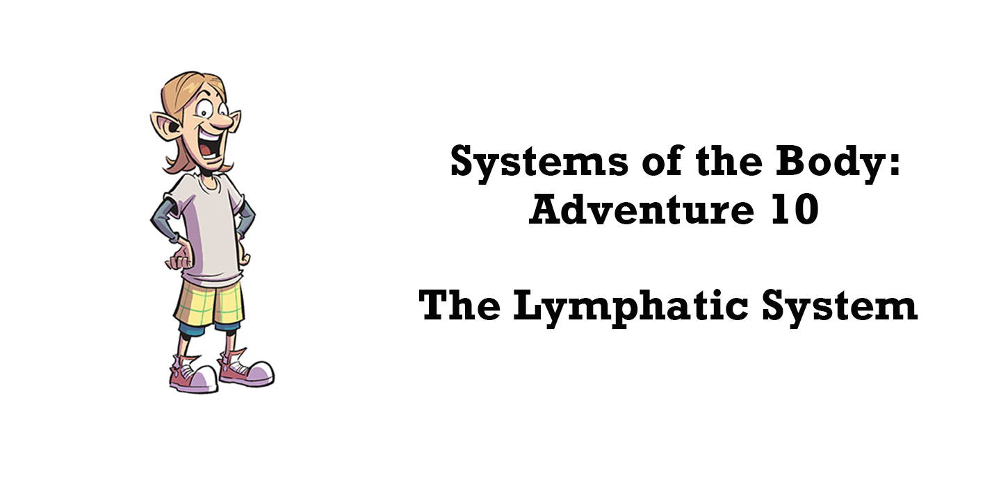 Journey Through the Lymphatic System From an Invader's Perspective