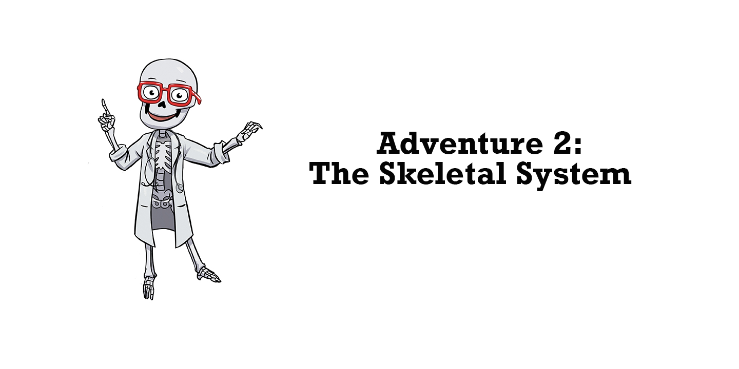 Dr. Bonyfide Answer Your Questions About the Skeletal System
