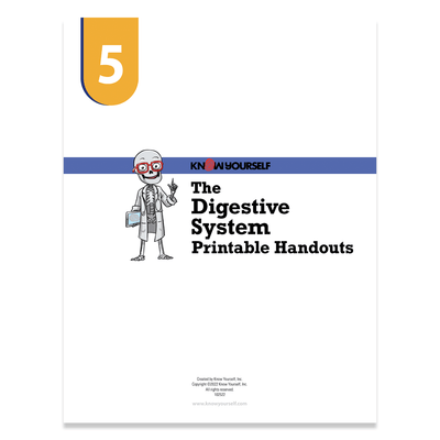 Adventure Series Printable Pages Health Education for Children