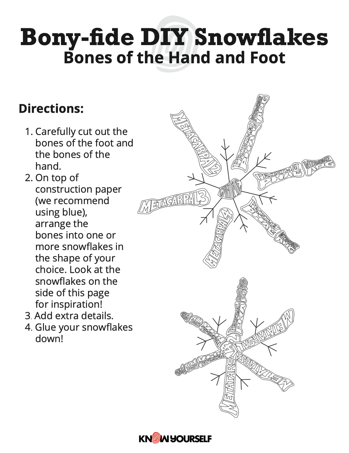 Bones of the Hand and Foot Snowflake Activity