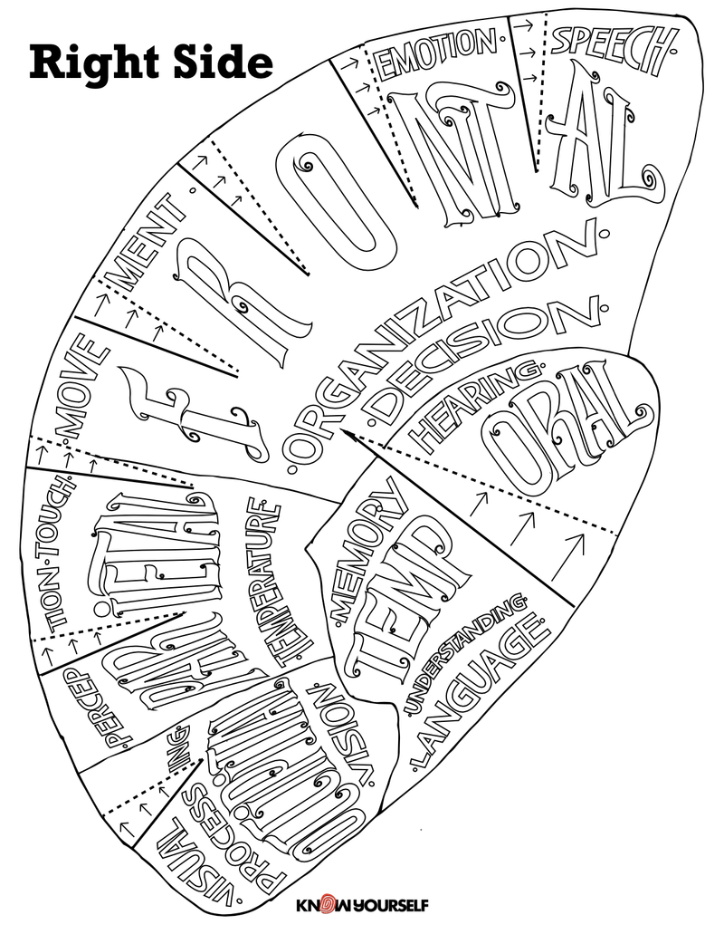 Create a Wearable Brain Cap Free Educational Resource Create a Wearable Brain Cap Free Educational Resource
