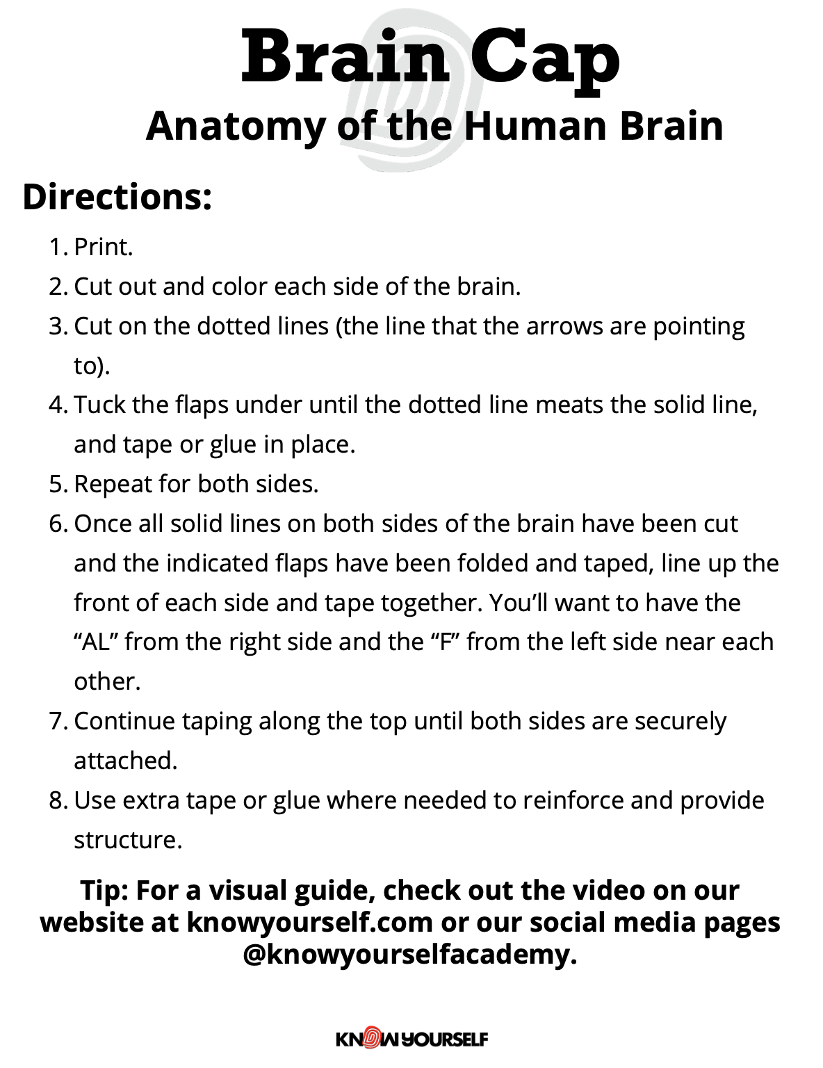 Brain Cap Activity