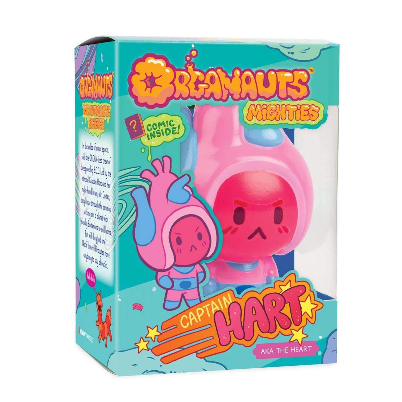 Captain Aorta Hart - The Heart - Organ Learning Toy Health Education for Children