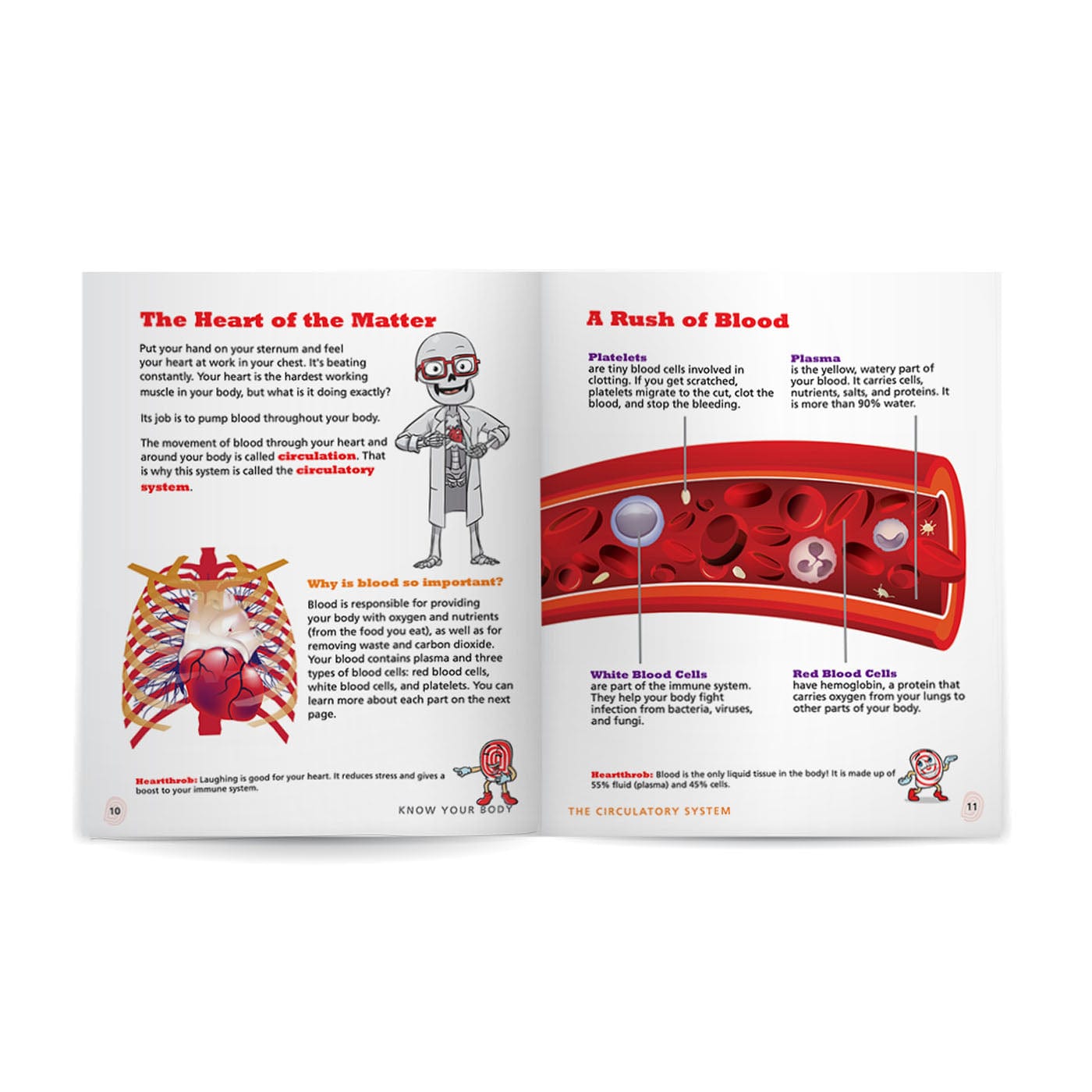 Circulatory System: Know Your Body Health Education for Children
