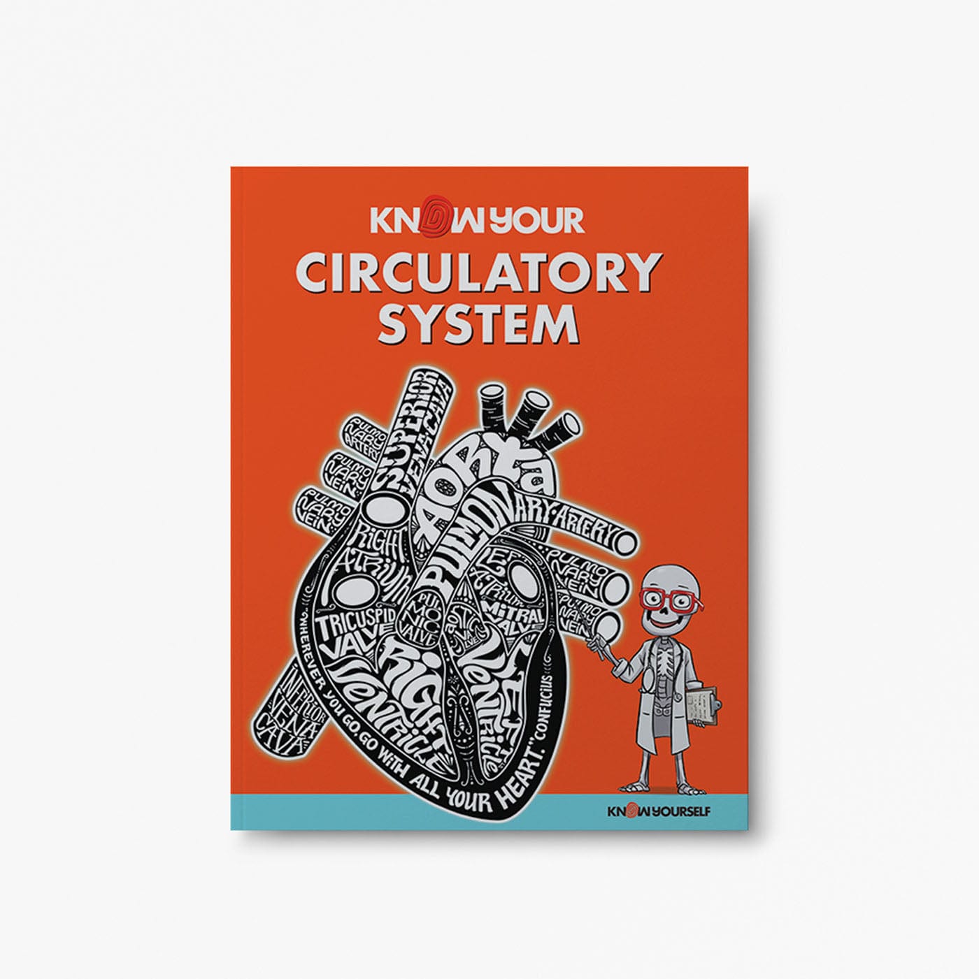 Circulatory System: Know Your Body Health Education for Children
