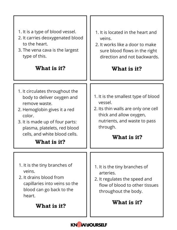 Test Your Circulatory System Knowledge with Question Cards - Know Yourself