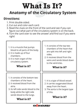 Circulatory System "What Is It?" Question Cards