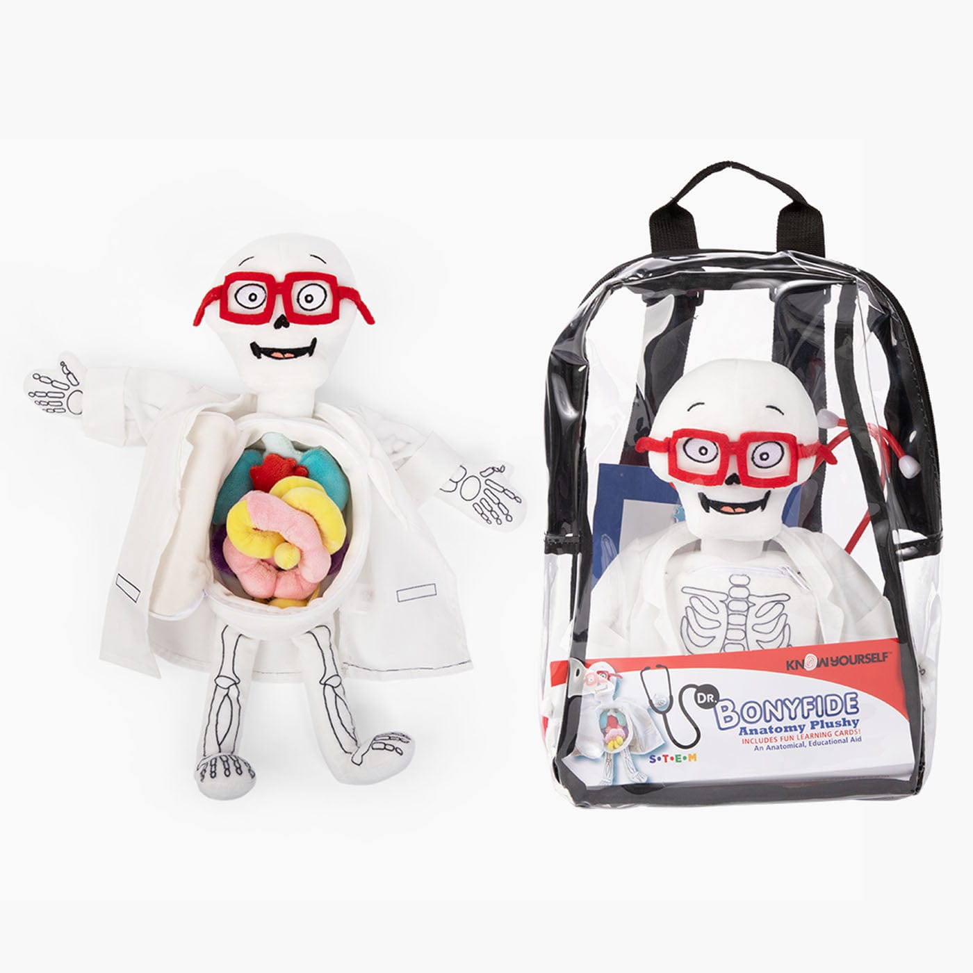 Dr. Bonyfide Anatomy Plushy Kit Health Education for Children