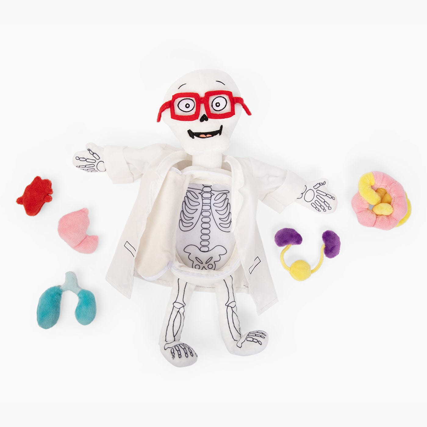 Dr. Bonyfide Anatomy Plushy Kit