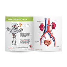 Renal System: Know Your Body Health Education for Children