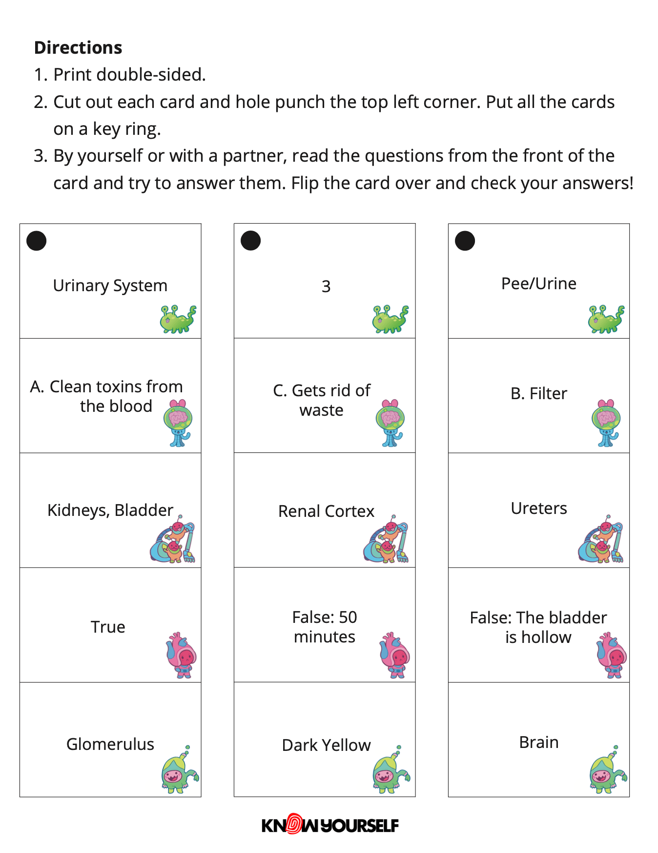 Renal System Quiz Cards Health Education for Children