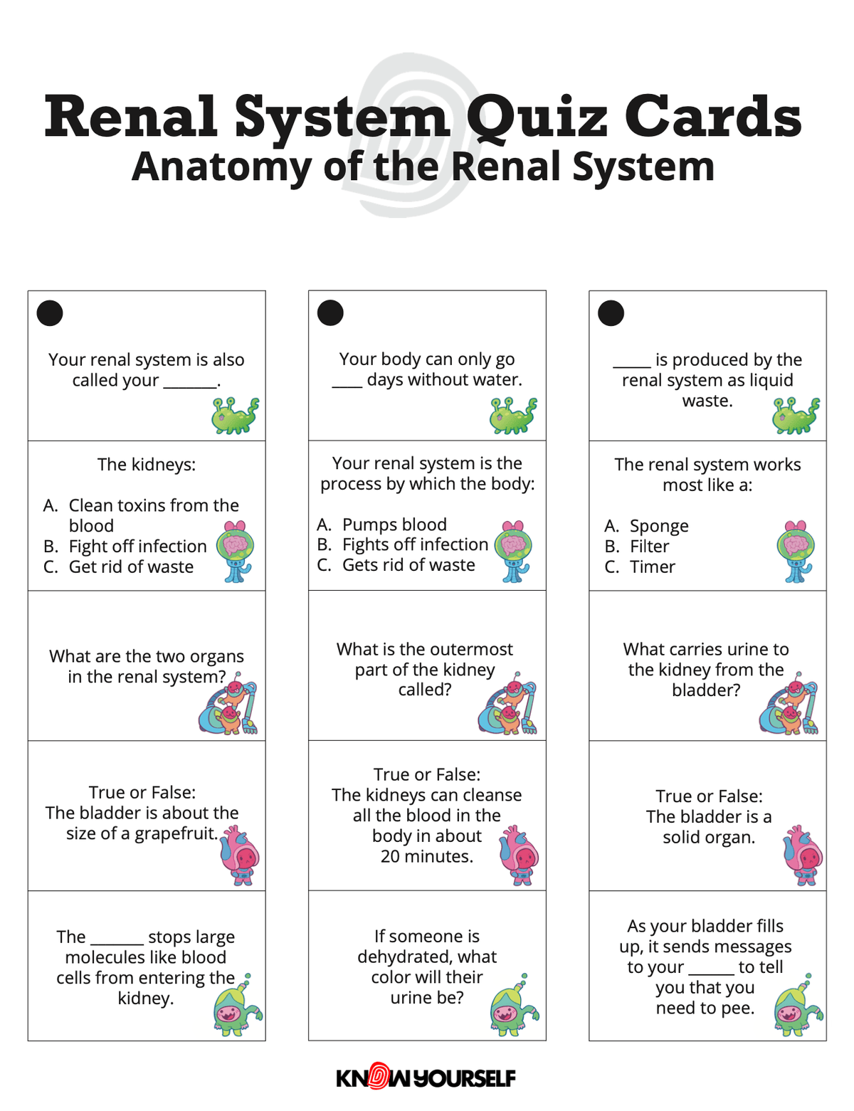 Renal System Quiz Cards Health Education for Children