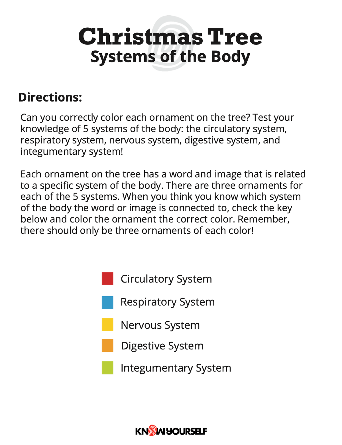 Systems of the Body Christmas Tree Activity