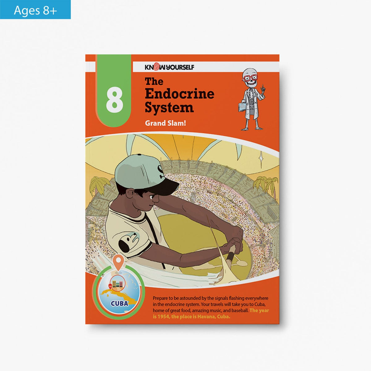 The Endocrine System: Adventure 8 Health Education for Children