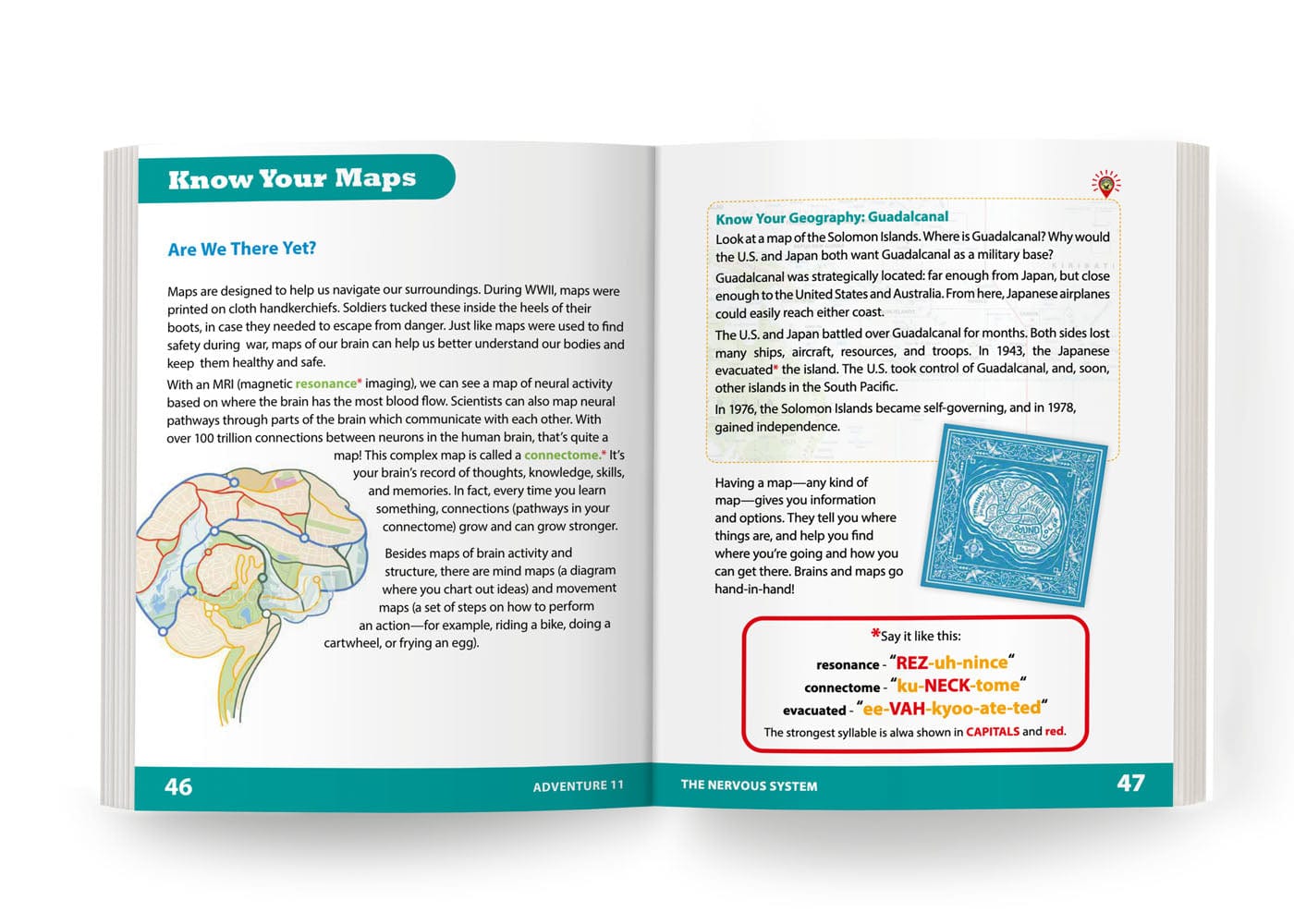 The Nervous System: Adventure 11 Health Education for Children
