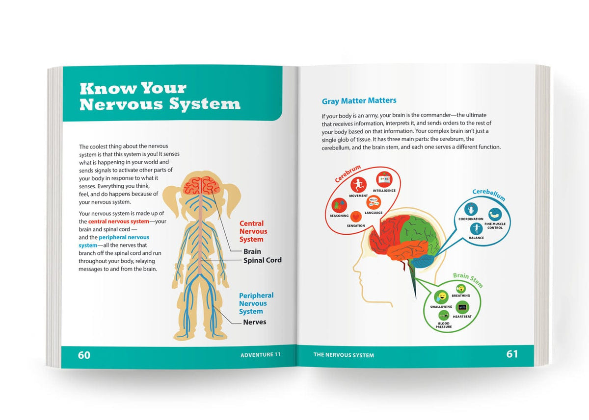The Nervous System: Adventure 11 Health Education for Children