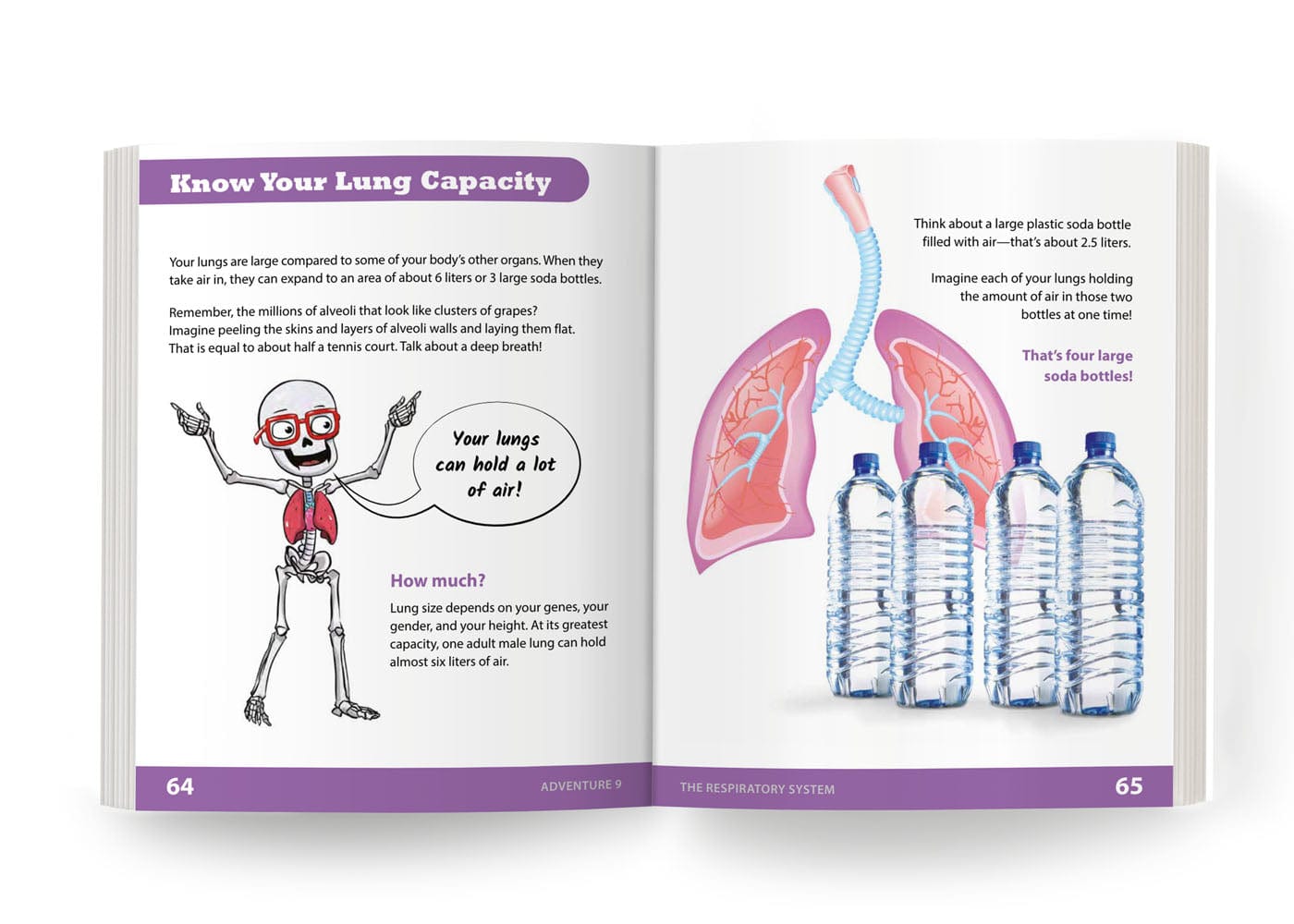The Respiratory System: Adventure 9 Health Education for Children