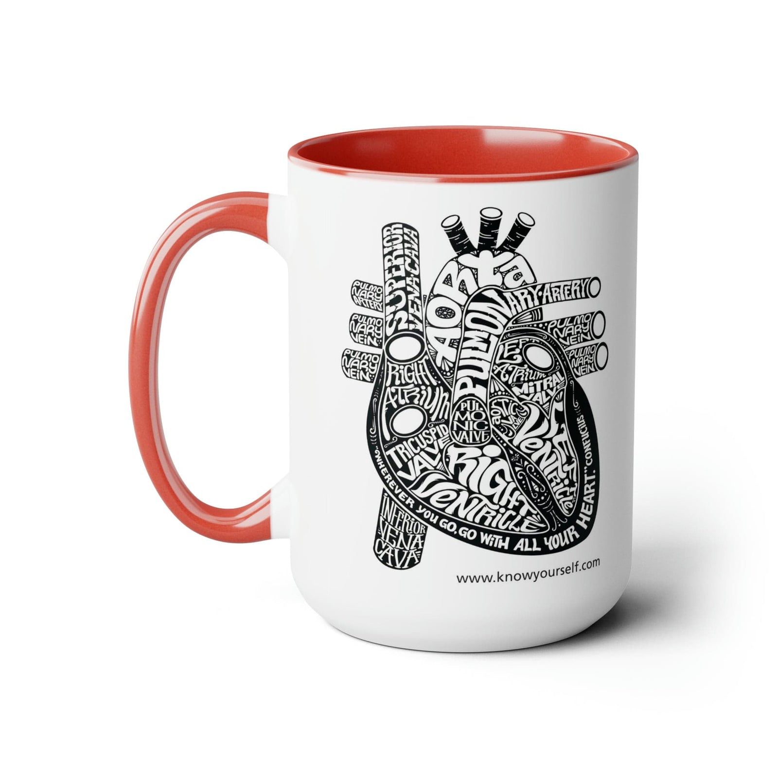 Anatomy Mug Set - Heart Health Education for Children