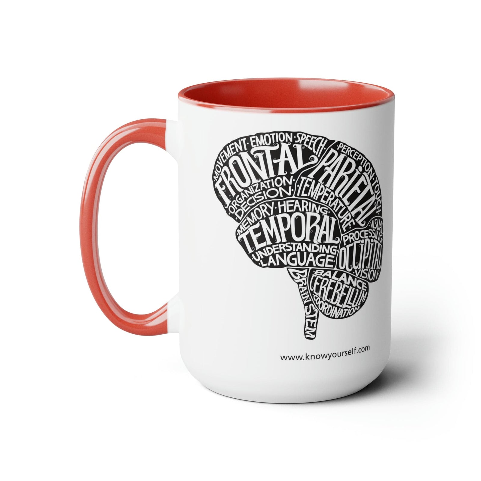 Anatomy Mug Set - Brain Health Education for Children