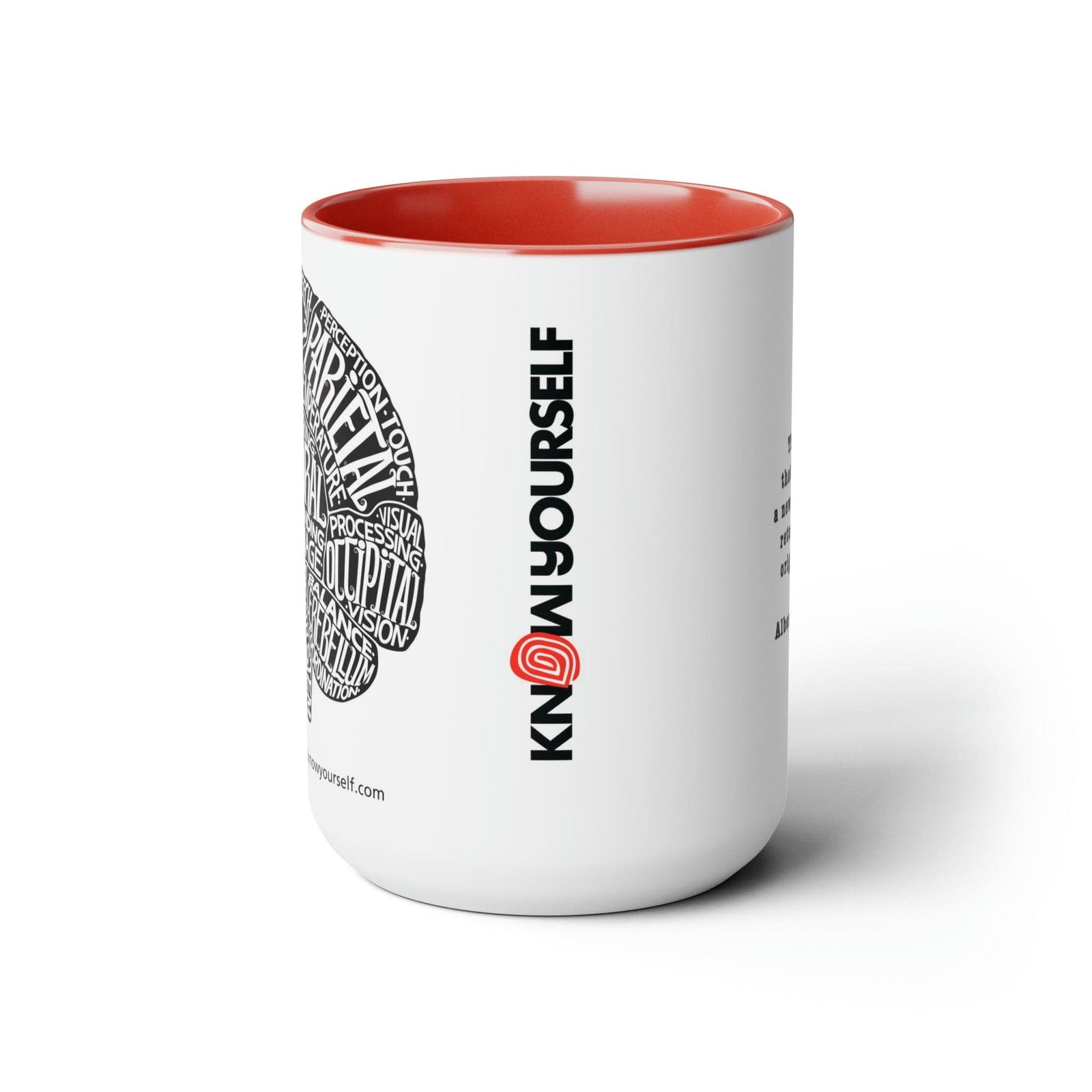 Anatomy Mug Set - Brain Health Education for Children