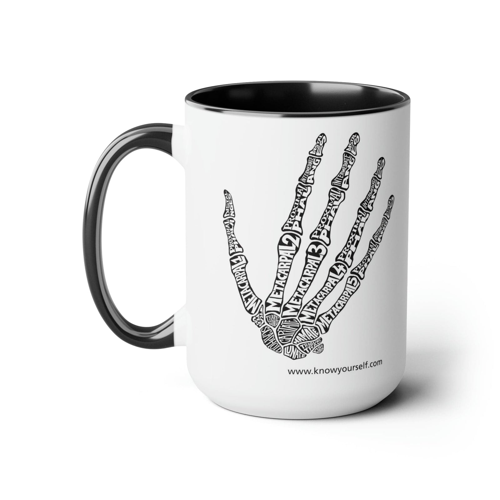 Anatomy Mug Set - Hand Health Education for Children